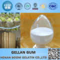 Food additive of gellan gum in polymer